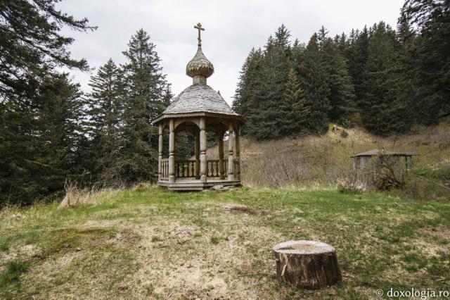 Insula Spruce – locul unde a viețuit Sfântul Gherman de Alaska
