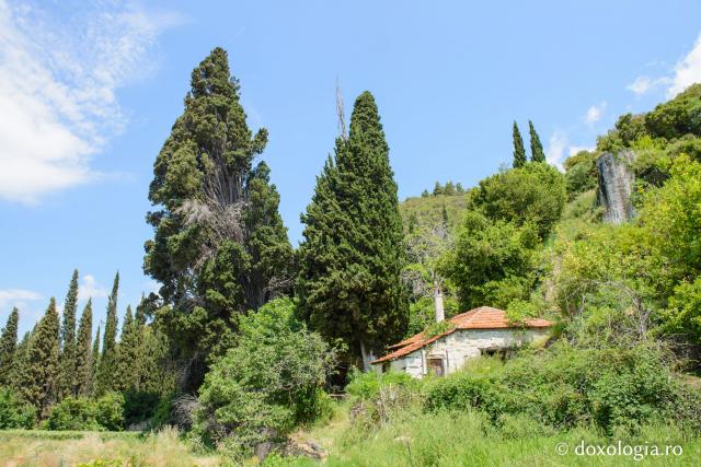 Mănăstirea Dohiariu din Muntele Athos – marea ctitorie a domnitorului Alexandru Lăpușneanu / Foto: Pr. Silviu Cluci Mănăstirea Dohiariu din Muntele Athos
