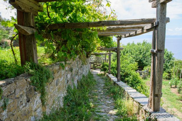 Mănăstirea Dohiariu din Muntele Athos – marea ctitorie a domnitorului Alexandru Lăpușneanu / Foto: Pr. Silviu Cluci Mănăstirea Dohiariu din Muntele Athos