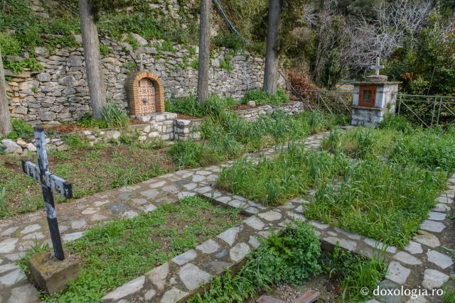 (Foto) Paşi de pelerin la Schitul Kavsokalivia – Athos