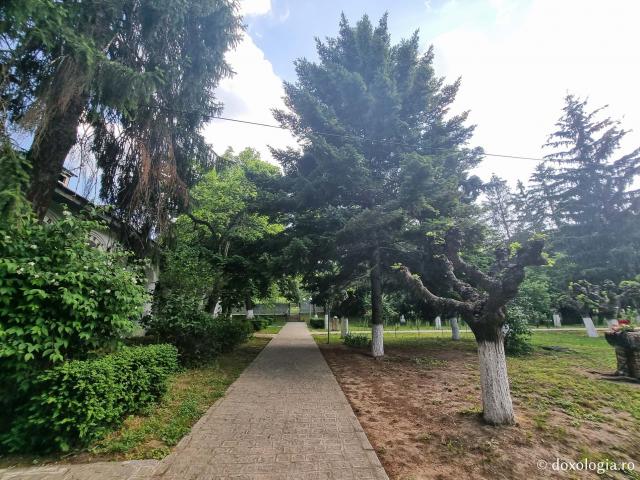 (Foto) Pași de pelerin la Mănăstirea Cocoș