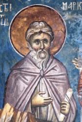 Sfântul Cuvios Marcu Pustnicul
